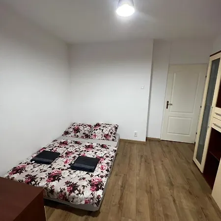 Aurel Vlaicu Center 4*