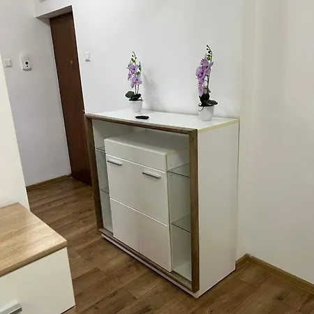 Aurel Vlaicu Center