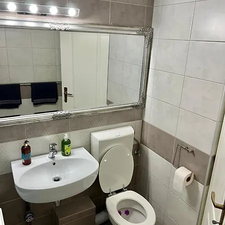 Aurel Vlaicu Center Appartement
