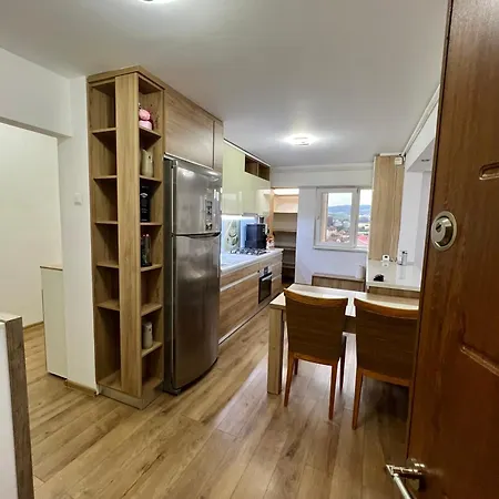 شقة Aurel Vlaicu Center كلوج-نابوكا