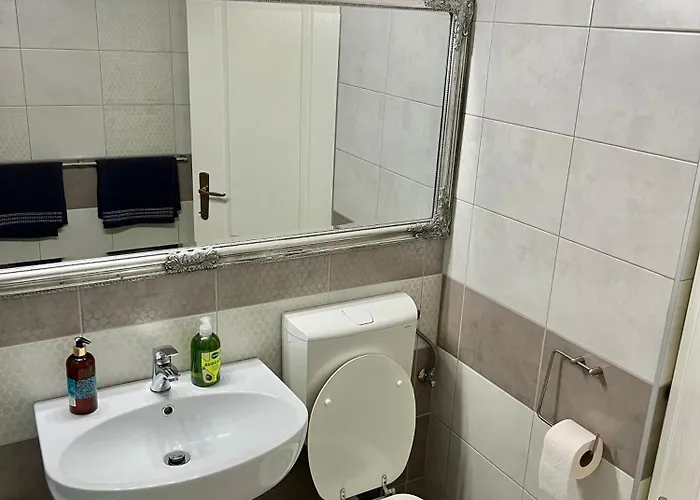 Aurel Vlaicu Center Apartman