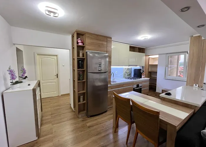 Aurel Vlaicu Center 클루지나포카